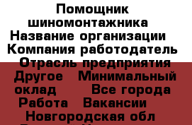 Помощник шиномонтажника › Название организации ­ Компания-работодатель › Отрасль предприятия ­ Другое › Минимальный оклад ­ 1 - Все города Работа » Вакансии   . Новгородская обл.,Великий Новгород г.